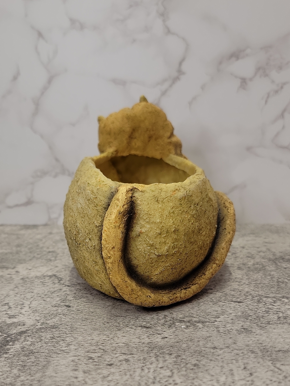 Simba the Lion Planter Pot - Picture 6 of 13